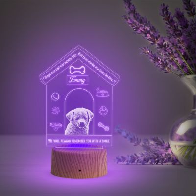 Personalized Dog Table Night Lamp with Automatic Color Changing Light Customized with Name & Photo  Pet Memorial Gift  Birthday Gift for Dog